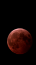 vlcsnap-2025-03-14-07h17m22s296.png
