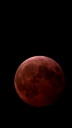 vlcsnap-2025-03-14-07h37m56s625.png